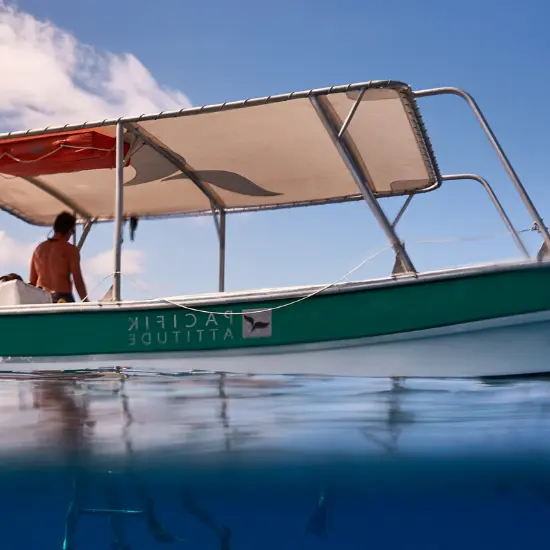 Pacifik Attitude - Tahiti Tourisme