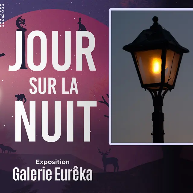 Conférence-atelier : Pollution lumineuse : tous acteurs !_Chambéry