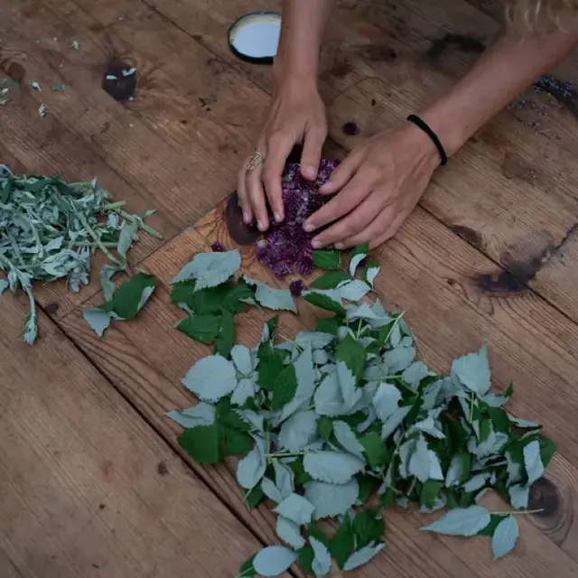 Séjour Chants de vie, avec Saveur sauvage_Tende