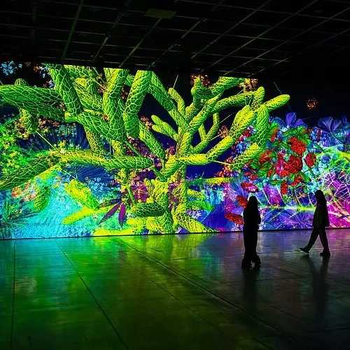 Nocturnes Exposition Digital Floralia_Angers