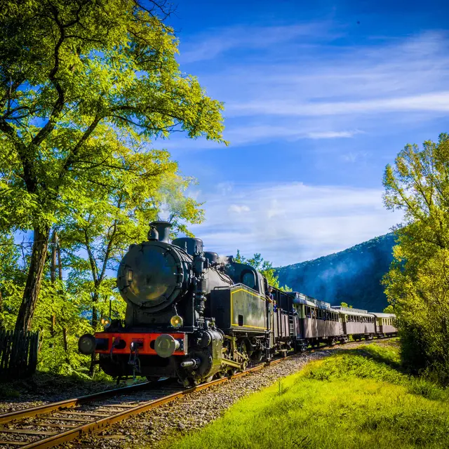 train à vapeur des cévènnes