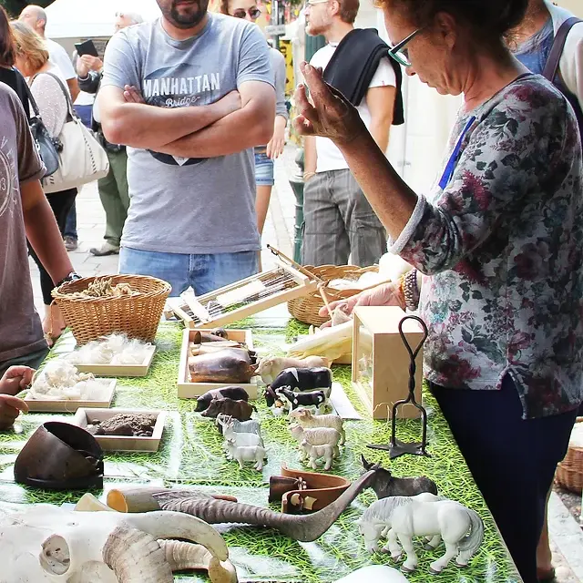 Atelier animé : pastoralisme et domestication_Tende
