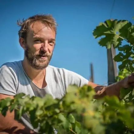 Ferme ouverte « Miels et vins »
