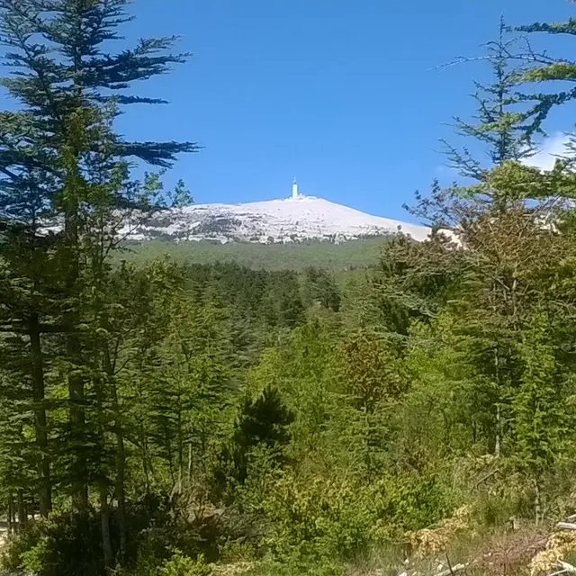 ventoux