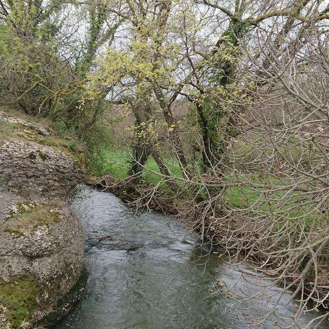Chemin de randonnée