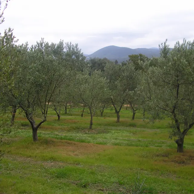 Domaine de la Jouasse