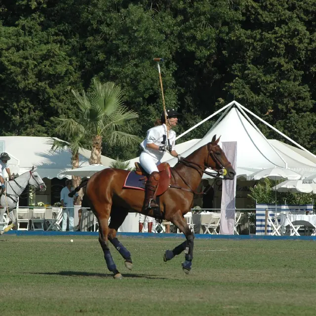 Tournoi de polo - Womens polo series_Gassin