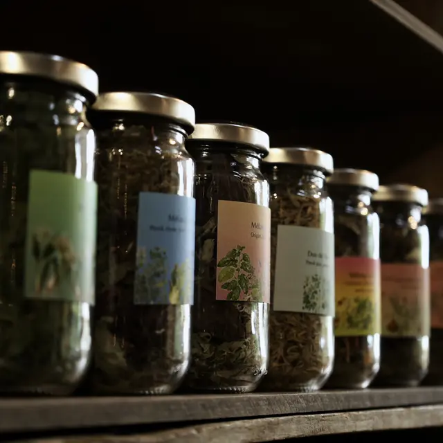 aromatiques