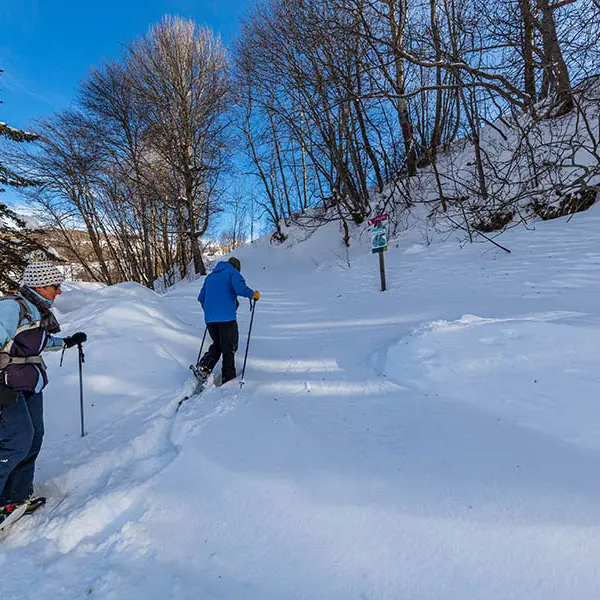 La Haute Perrière_Allos