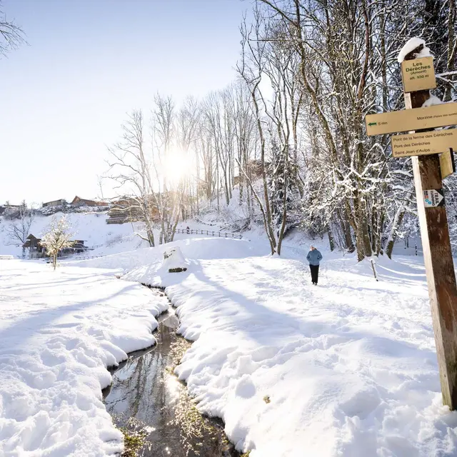 Promenade dans le parc des Dérêches en Hiver_Avoriaz