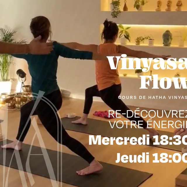 Yoga Hatha Vinyasa