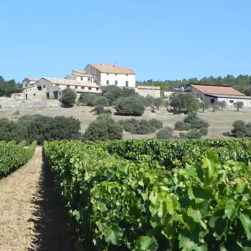Château Ste Marguerite