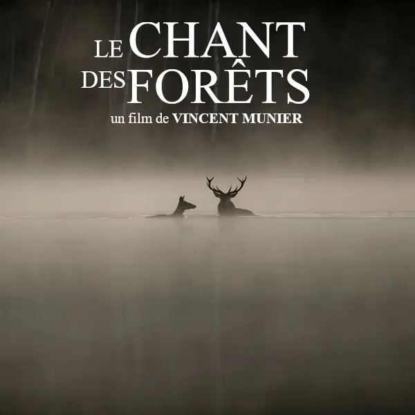 Projection Cinévadrouille film Le Chant des Forêts_Espinasses