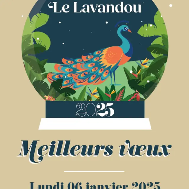 Cérémonie des vœux du Maire 2025_Le Lavandou