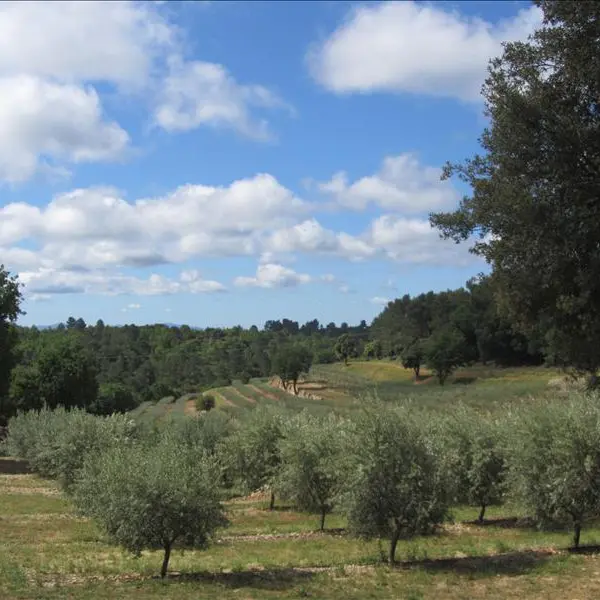 VAR TOURISME CB_TAURENNE_TOURTOUR (1)