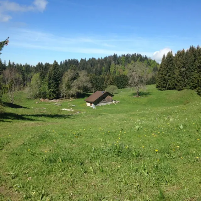 Parcours VTT Chaine d’Or depuis les Habères_Habère-Poche