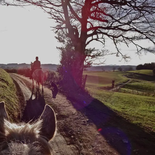 Randonnée équestre