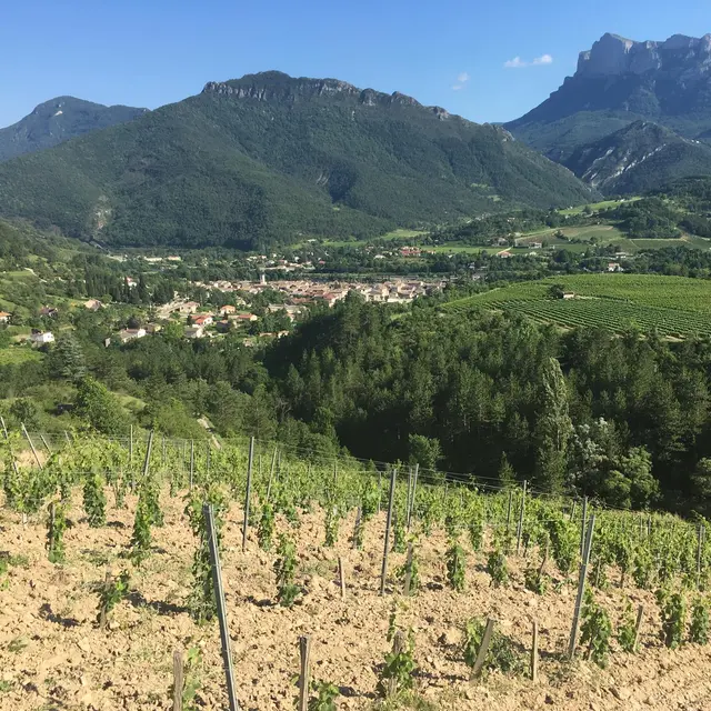 La Drôme de ferme en ferme - Domaine Jean Claude Raspail et fils_Saillans