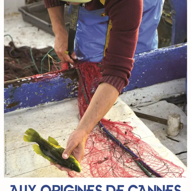 Exposition Aux origines de Cannes - Pêche et autres trésors de la mer_Cannes