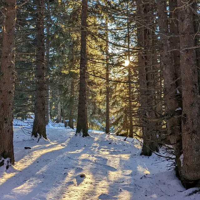 Balade Contée