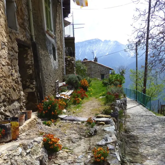 Vide grenier Granile