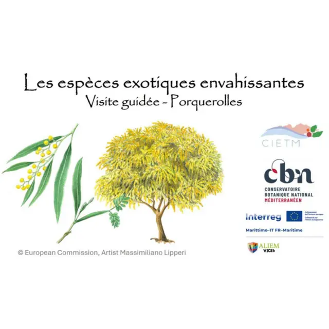 Balade nature sur l’île de Porquerolles_Hyères