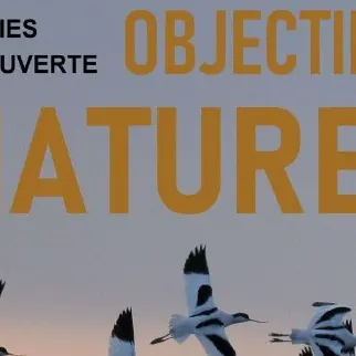 Objectif nature - Sorties nature avec Hervé Roques_Loix
