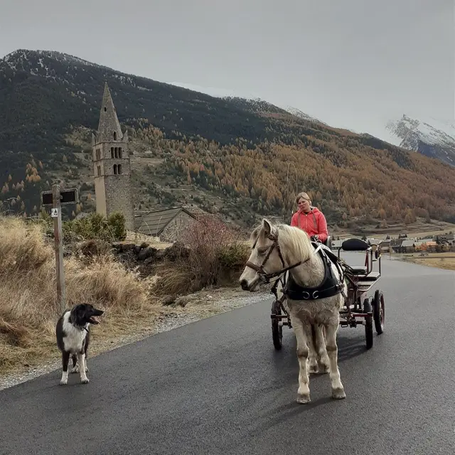 balade en calèche