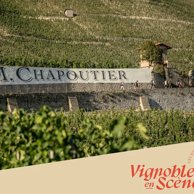 Visite des vignes & dégustation M. CHAPOUTIER_Tain-l'Hermitage
