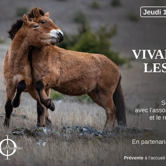Vivant parmi les Vivants