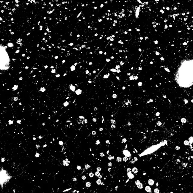 Angela Detanico et Rafael Lain : Champ étoilé_Marseille