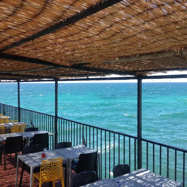 Sporting Club Corniche, Les Dauphins Marseille