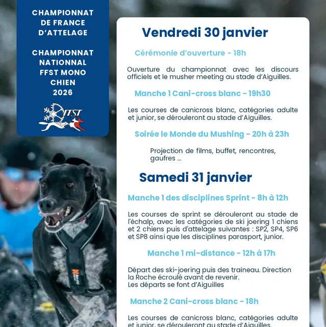 Championnat de France d'attelage canin_Aiguilles