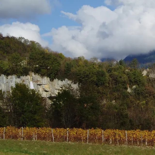 Domaine Collomb