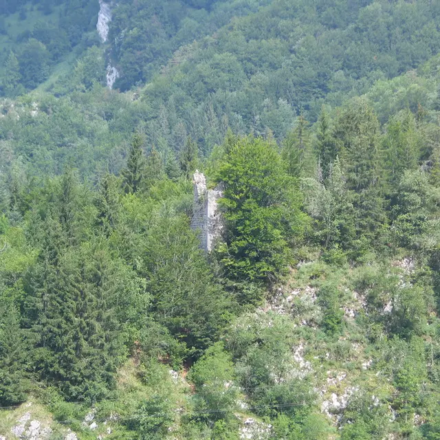 Le château d'Entremont - Entremont le Vieux