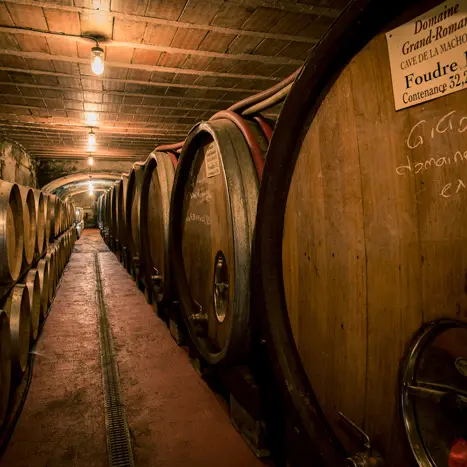 Visite de cave privée_Gigondas