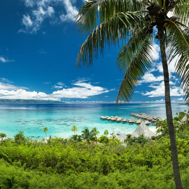 Moorea