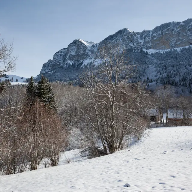 Itinéraires raquettes - Alpage de Lain - Thollon-les-Mémises