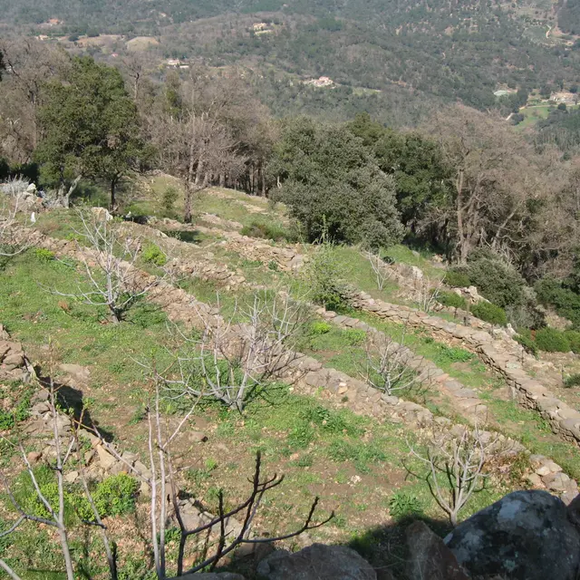 Verger de Miremer - La Garde-Freinet - Randonnée pédestre