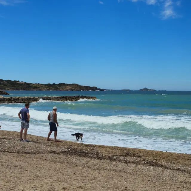 Plage pour chiens - Doggy Beach_Six-Fours-les-Plages
