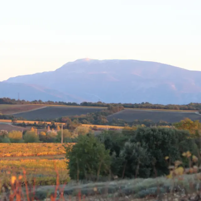 Enclave des Papes à vélo