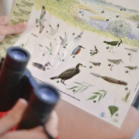 Croisière ornithologique