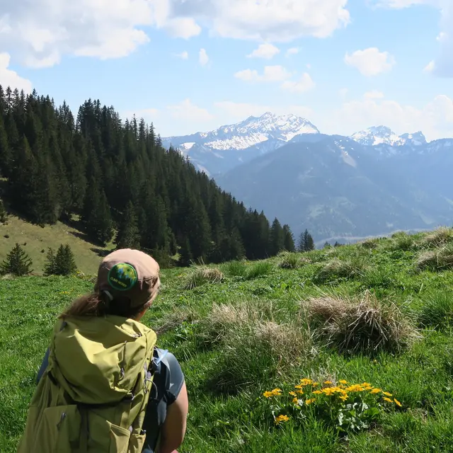 Randonnée pédestre : Tour du Mont Ouzon_Le Biot
