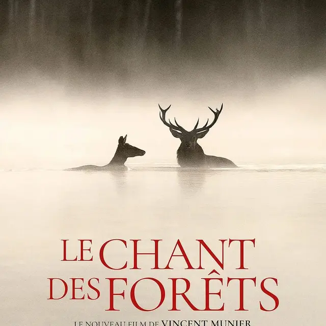 Le chant des forêts