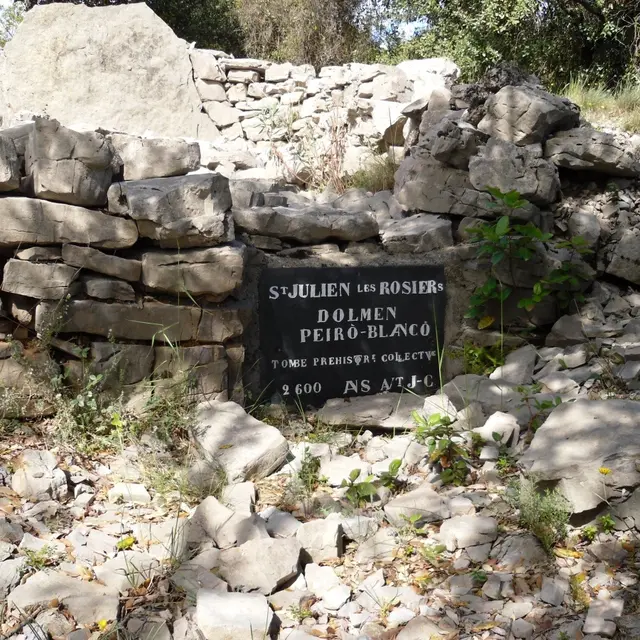 Dolmen du Peyro Blanco