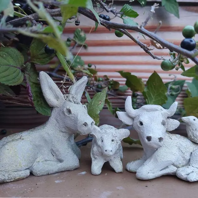 Mes zanimos de la crèche