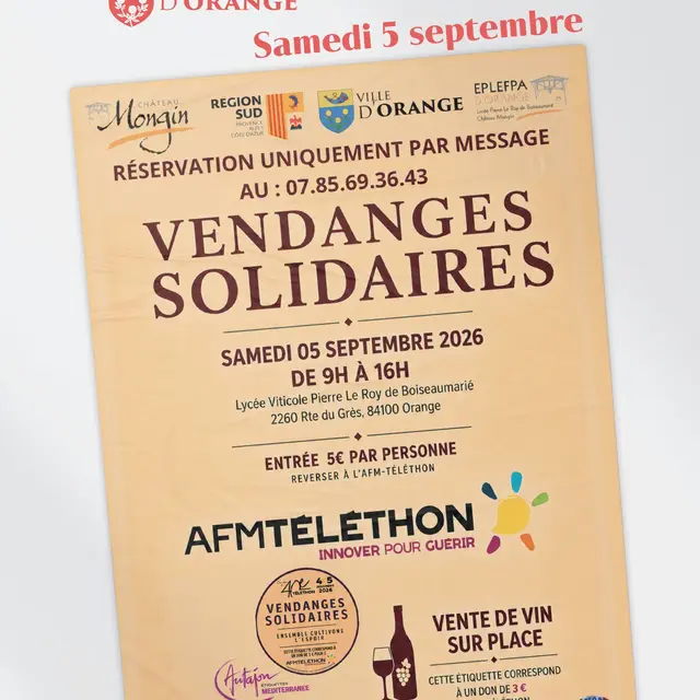 Vendanges solidaires_Orange