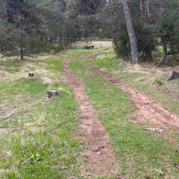 Boucle Découverte Espace Nordique_Gréolières