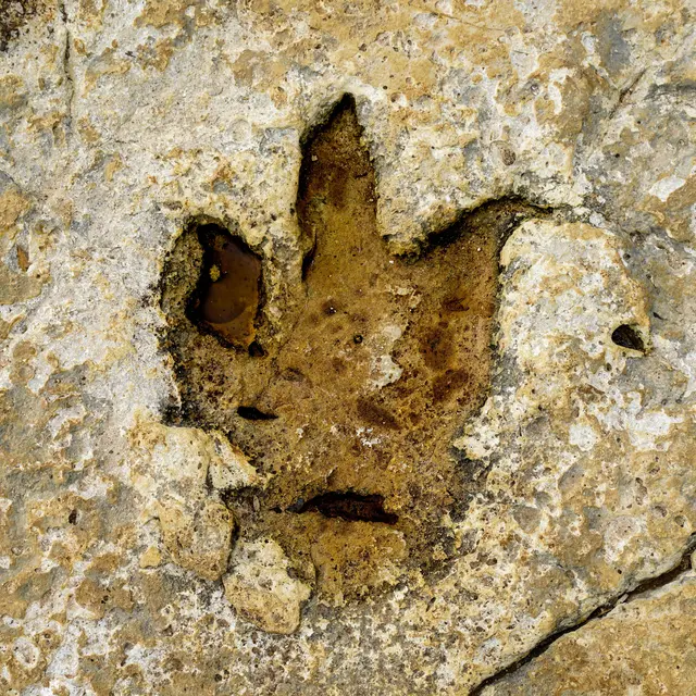 Anim'été au Musée Promenade - Fouilles à remonter le temps_Digne-les-Bains