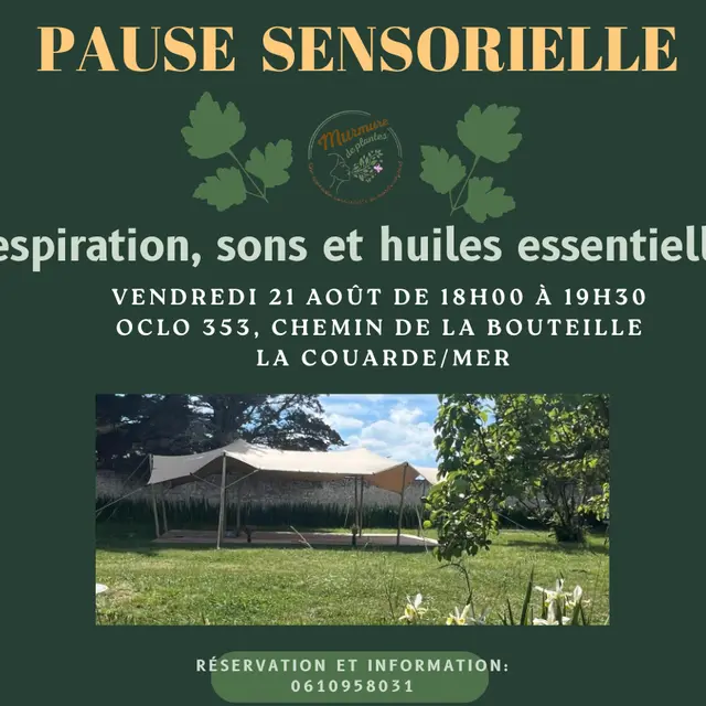 Pause sensorielle : respiration, sons et huiles essentielles_La Couarde-sur-Mer